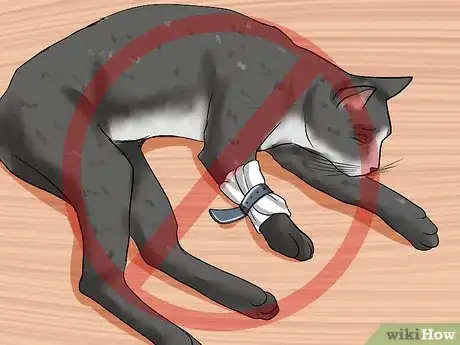 Imagen titulada Treat a Cat for Snakebite Step 5