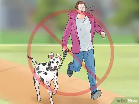 Imagen titulada Exercise a Mother Dog Step 3
