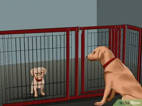 Imagen titulada Introduce a Puppy to a Dog Step 13
