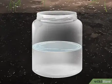 Imagen titulada Set Spider Traps Step 10