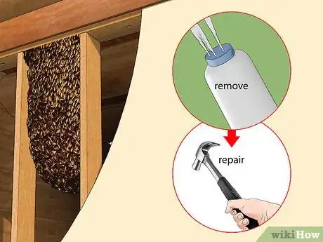 Imagen titulada Get Rid of a Beehive Step 5