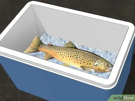 Imagen titulada Fish in a Lake Step 27