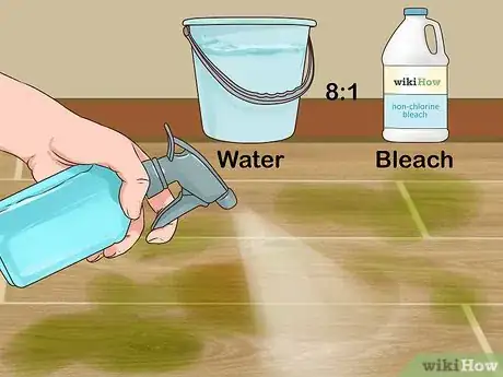 Imagen titulada Remove Mold Stains from Wood Floors Step 11