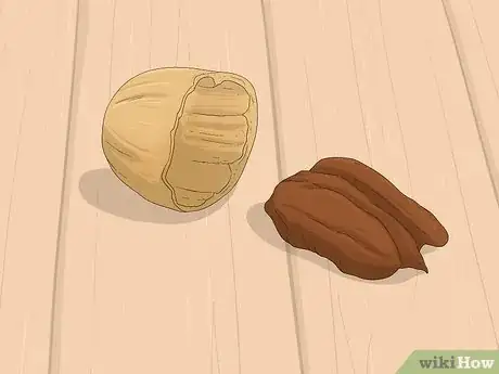 Imagen titulada Identify Hickory Nuts Step 18