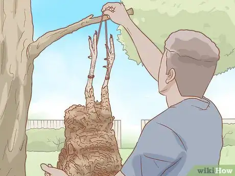 Imagen titulada Clean a Turkey Step 18
