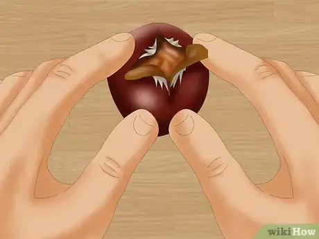 Imagen titulada Eat a Raw Chestnut Step 8