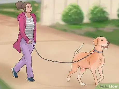 Imagen titulada Exercise a Mother Dog Step 7