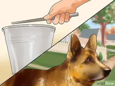Imagen titulada Temperament Test a Dog Step 9