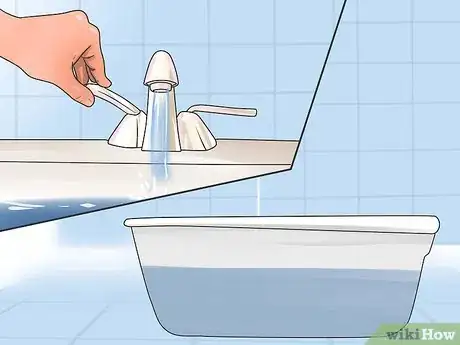 Imagen titulada Groom a Poodle Step 3