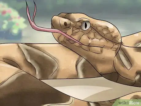 Imagen titulada Treat a Cat for Snakebite Step 3
