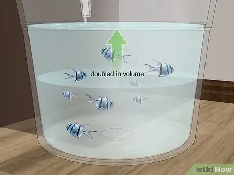 Imagen titulada Start a Saltwater Aquarium Step 33