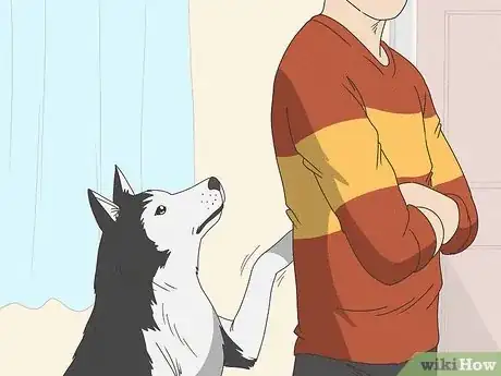 Imagen titulada Stop a Dog from Pawing Step 4