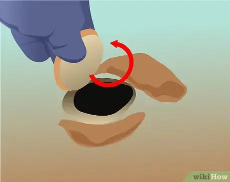 Imagen titulada Catch a Spider Step 14