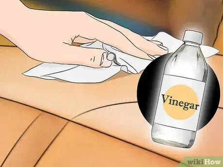 Imagen titulada Remove an Ink Stain from Auto Upholstery Step 3