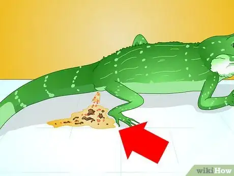 Imagen titulada Care for Your Lizard Step 10