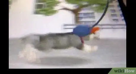 Imagen titulada Make Money on Nintendogs Step 5