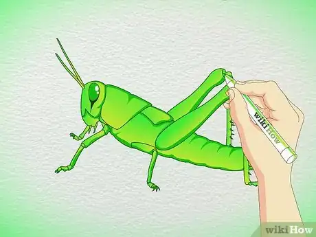 Imagen titulada Draw a Grasshopper Step 5