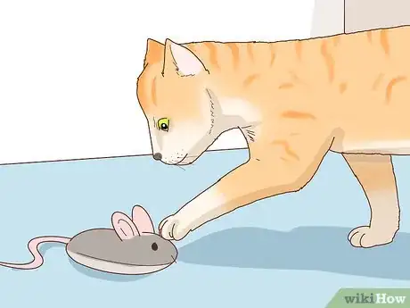 Imagen titulada Tell if Your Cat Is Depressed Step 11