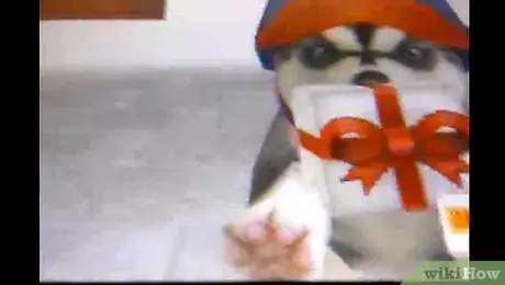 Imagen titulada Make Money on Nintendogs Step 4