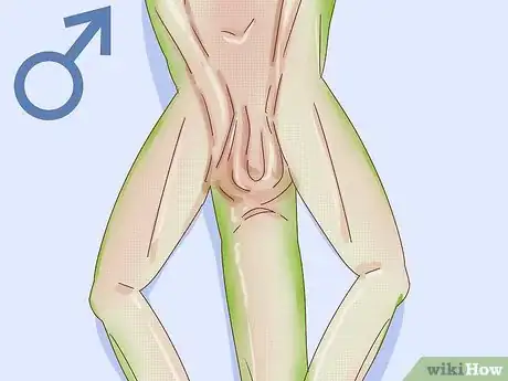 Imagen titulada Determine the Sex of a Green Anole Step 4