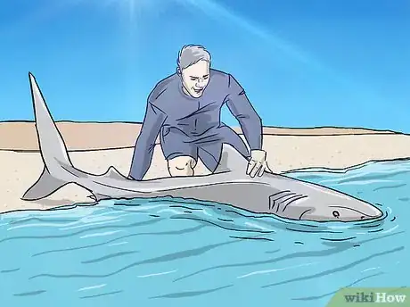 Imagen titulada Fish for Shark Step 6