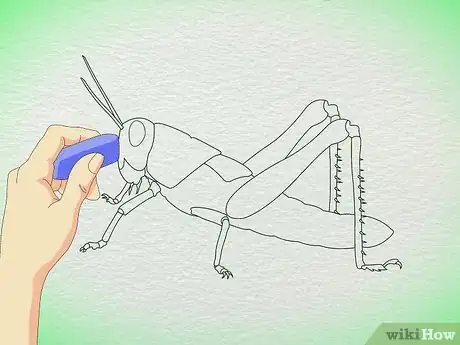 Imagen titulada Draw a Grasshopper Step 4