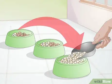 Imagen titulada Create a Feeding Routine for Your Dog Step 8