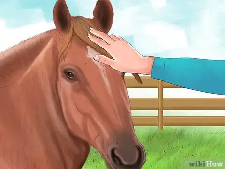 Imagen titulada Get a Horse to Put Its Head Down Step 2