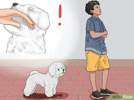 Imagen titulada Train a Bichon Frise Step 5