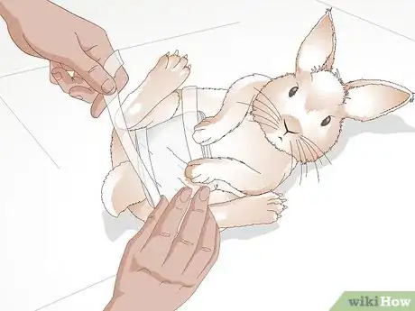 Imagen titulada Care for Your Rabbit After Neutering or Spaying Step 10