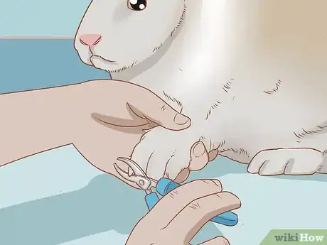 Imagen titulada Raise Rabbits Step 13