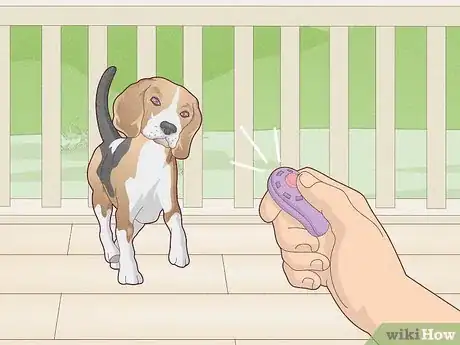 Imagen titulada Stop a Dog's Unwanted Behavior Step 7