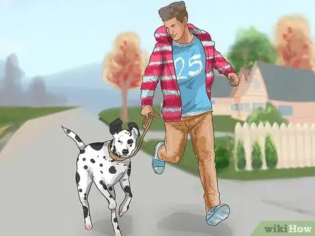 Imagen titulada Care for a Dalmatian Step 5