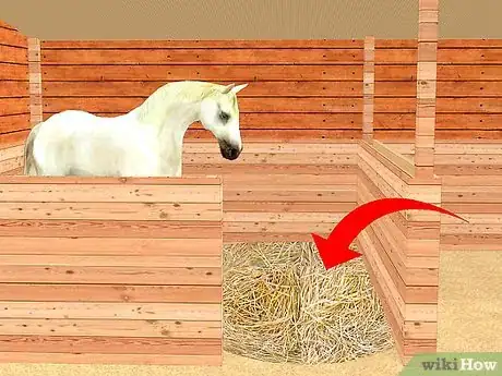 Imagen titulada Look After a Horse Step 2
