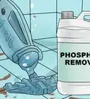 eliminar y prevenir el alga verde en una piscina