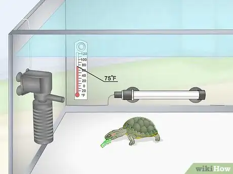 Imagen titulada Feed a Red‐Eared Slider Turtle Step 11
