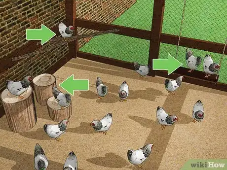 Imagen titulada Keep Chickens from Eating Their Own Eggs Step 4