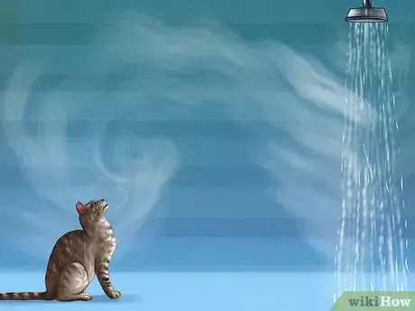 Imagen titulada Treat a Cat With a Cold Step 2