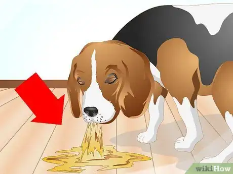 Imagen titulada Determine if Your Dog Has Food Allergies Step 3