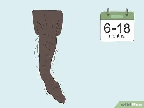 Imagen titulada Start Locs on Natural Hair Step 14