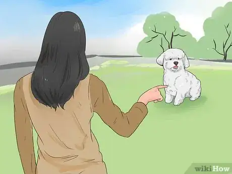 Imagen titulada Train a Bichon Frise Step 1