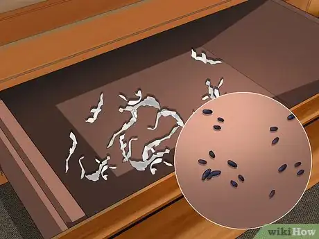 Imagen titulada Keep Rats Away Step 12