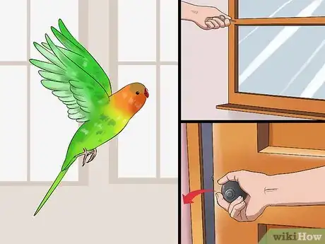 Imagen titulada Train Your Budgie Step 3