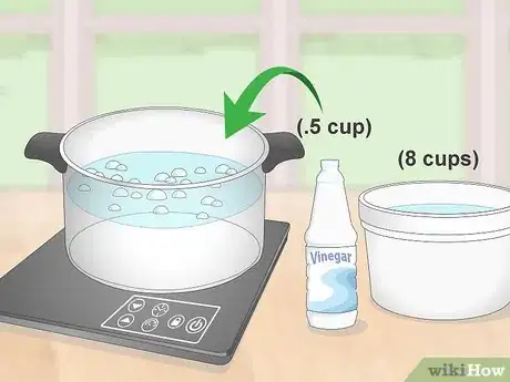 Imagen titulada Cook Turtle Step 1