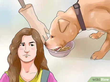 Imagen titulada Temperament Test a Dog Step 1