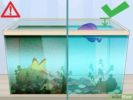 Imagen titulada Clean a Fish Tank Step 9