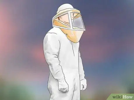 Imagen titulada Kill a Hornet Nest Step 4
