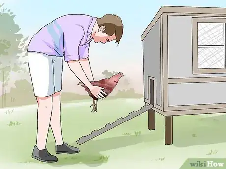 Imagen titulada Train Chickens to Return to Their Coop Step 12