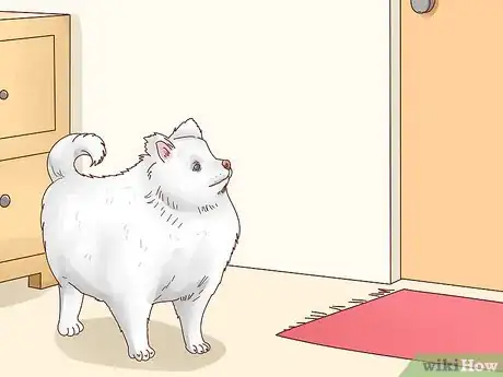Imagen titulada Get a Dog to Stop Eating Dirt Step 14