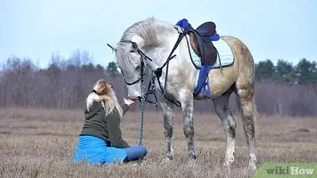 Imagen titulada Get Your Horse to Trust You Step 2